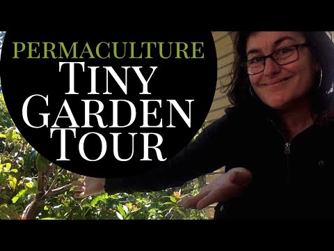 permaculture water welcome and tiny garden tour