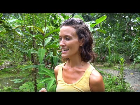 Chinampas: Floating Gardens of Costa Rica + Permaculture Farm Tour