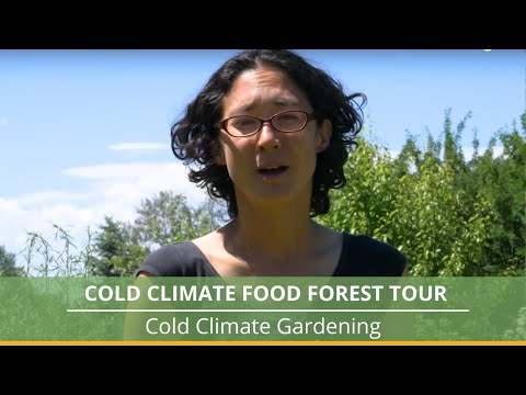 Food Forest in a Cold Climate? Let's Take a Tour!