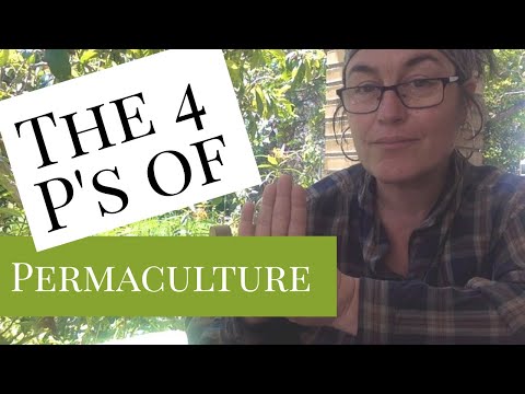 The 4 P’s of Permaculture: Place, Patterns, Process, Principles