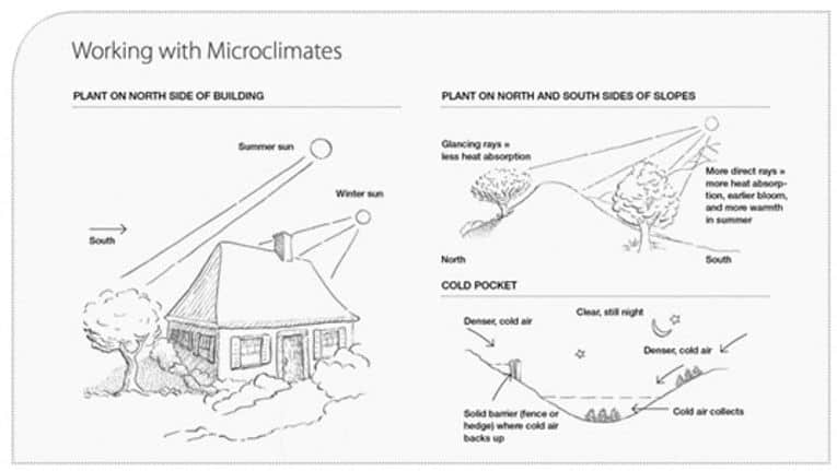 How To Effectively Use Microclimates For Permaculture Design