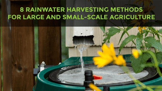 rainwater harvesting methods